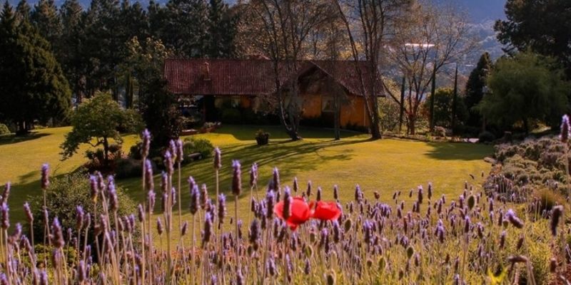 Le Jardin Parque de Lavanda em Gramado