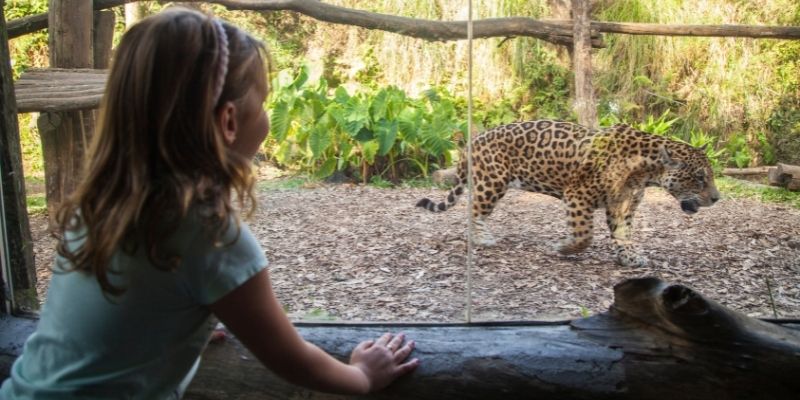 Gramado Zoo